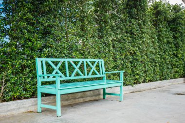 Bahçedeki sandalyeler