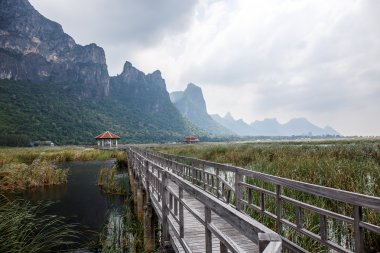 Khao Sam ROI Yod Milli Parkı, Tayland.