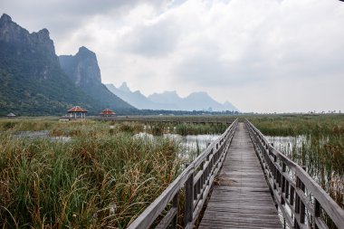 Khao Sam ROI Yod Milli Parkı, Tayland.