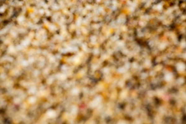 Раковины на фоне пляжа — стоковое фото