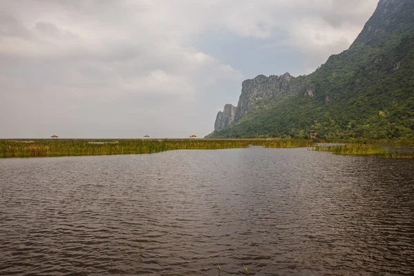 Khao sam roi yod Nationalpark, Thailand. — Stockfoto