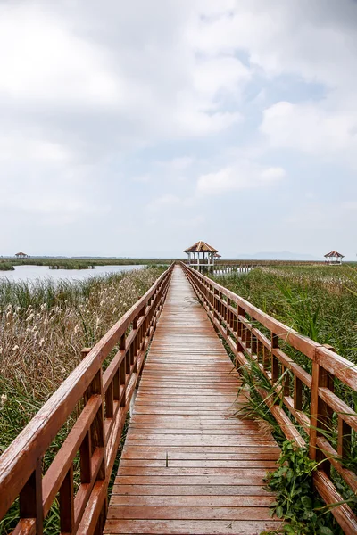 Khao sam roi yod Nationalpark, Thailand. — Stockfoto