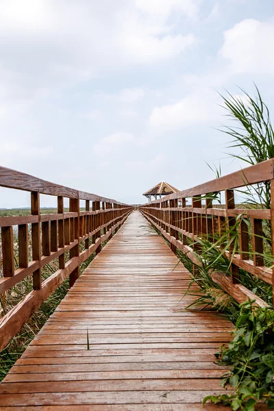 Khao Sam Roi Yod Nationaal Park, Thailand. — Stockfoto