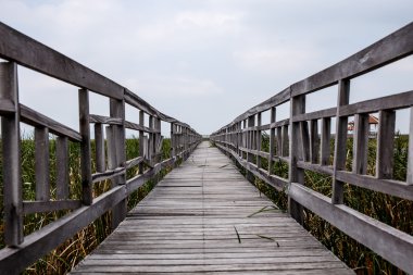 Ahşap köprü Khao Sam ROI Yod Milli Parkı, Tayland.