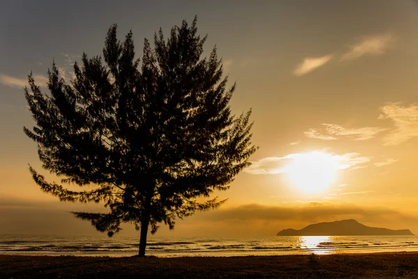 Seascape com pinheiros solitários na praia na Tailândia — Fotografia de Stock