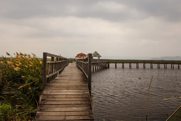 Holzbrücke im Khao sam roi yod Nationalpark, Thailand. — Stockfoto