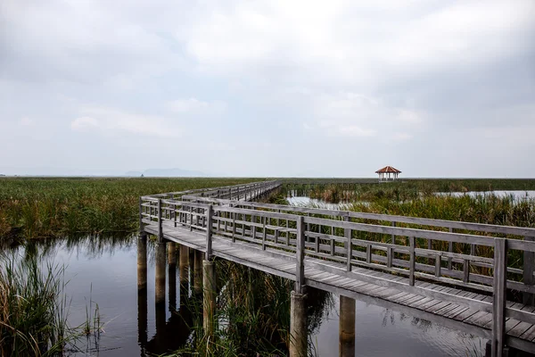 Wood bridge in Khao Sam Roi Yod National Park, Thailand. — Stock Photo, Image