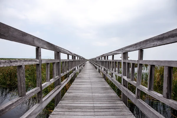 Holzbrücke im Khao sam roi yod Nationalpark, Thailand. — Stockfoto