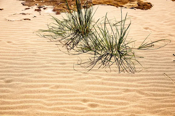 Texture abstraite de sable pour fond — Photo