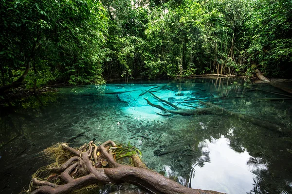 Emerald pool — Stockfoto