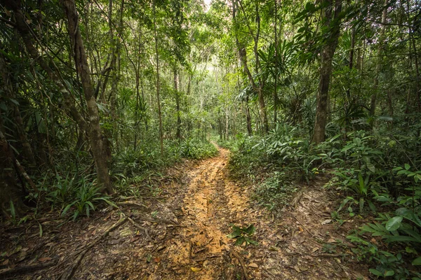 Vida é jornada — Fotografia de Stock