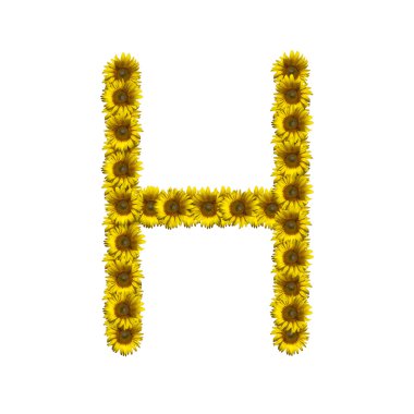 İzole ayçiçeği alfabe H