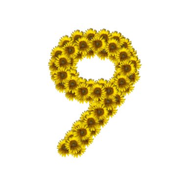 İzole ayçiçeği sayı 9