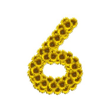 İzole ayçiçeği numarası 6