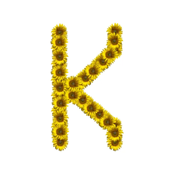 Isoliertes Sonnenblumenalphabet k — Stockfoto