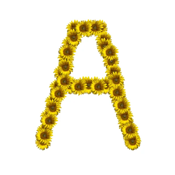 Isolated sunflower alphabet A — Stock Photo, Image