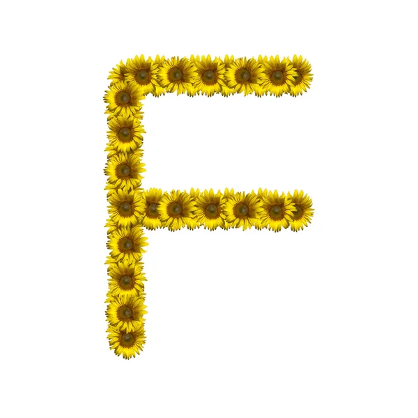 İzole ayçiçeği alfabe F — Stok fotoğraf