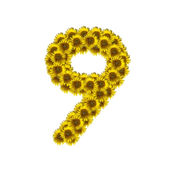 Terisolasi bunga matahari nomor 9 — Stok Foto