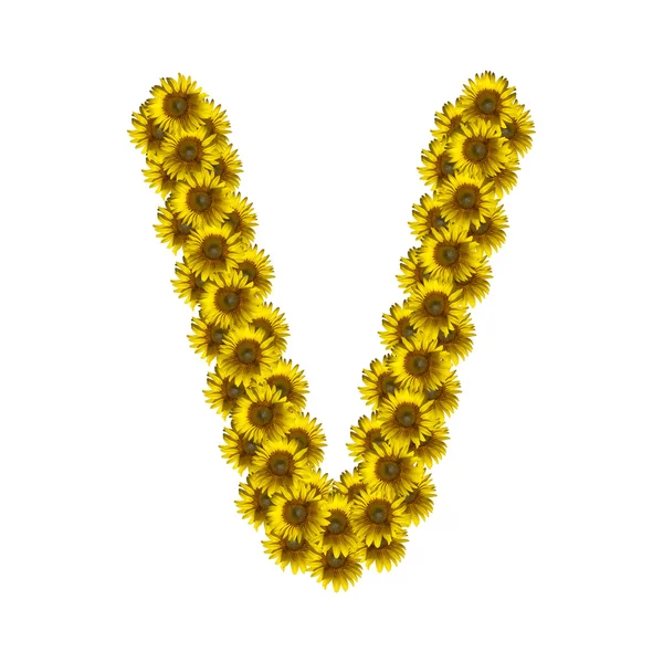 İzole ayçiçeği alfabe V — Stok fotoğraf