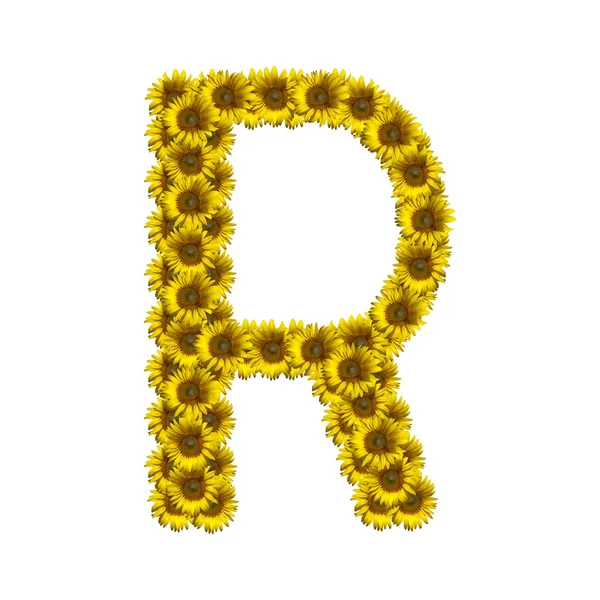 Ayçiçeği alfabesi R izole — Stok fotoğraf