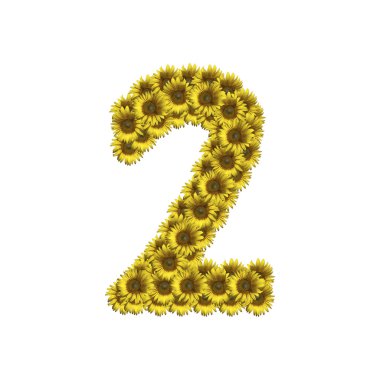 İzole ayçiçeği sayı 2