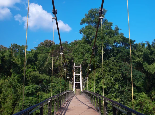 Puente colgante — Foto de Stock