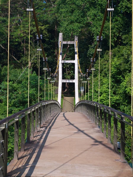 Suspension bridge — Stock Photo, Image