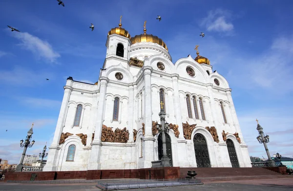 Güvercinler üzerinde Katedral Mesih'in Savior — Stok fotoğraf