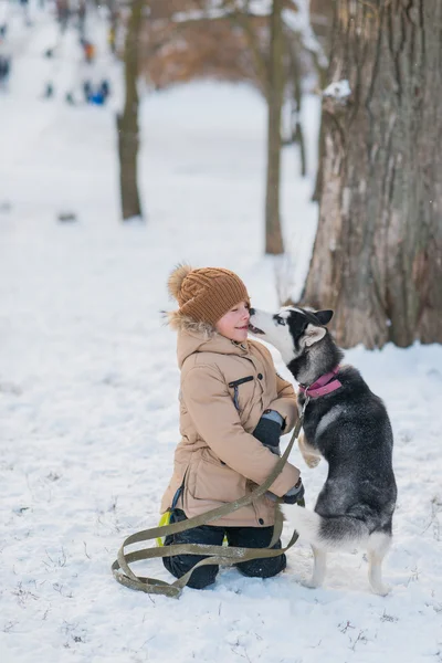 Köpeği karda çocukla — Stok fotoğraf