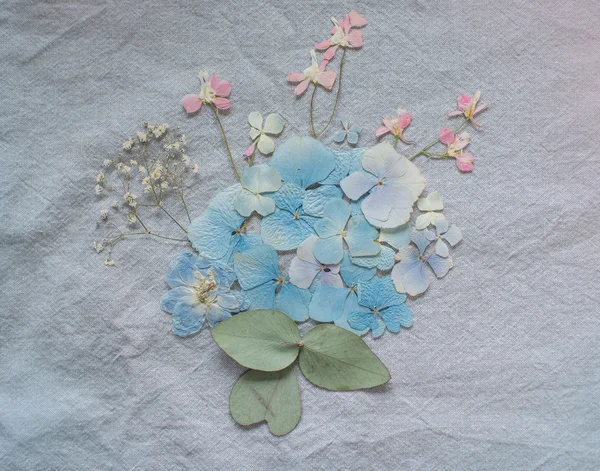 Composición de flores secas —  Fotos de Stock