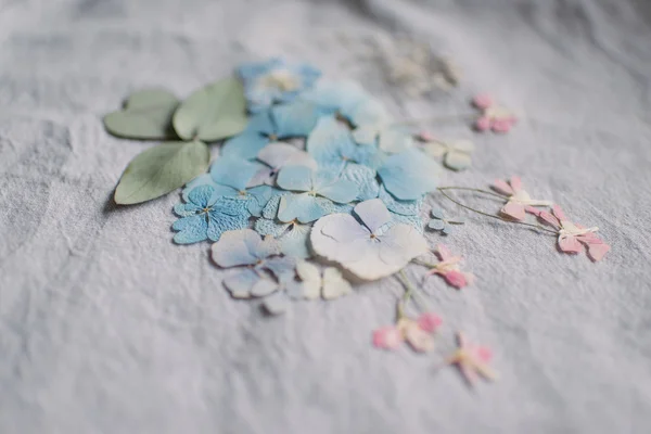 Samenstelling van gedroogde bloemen — Stockfoto