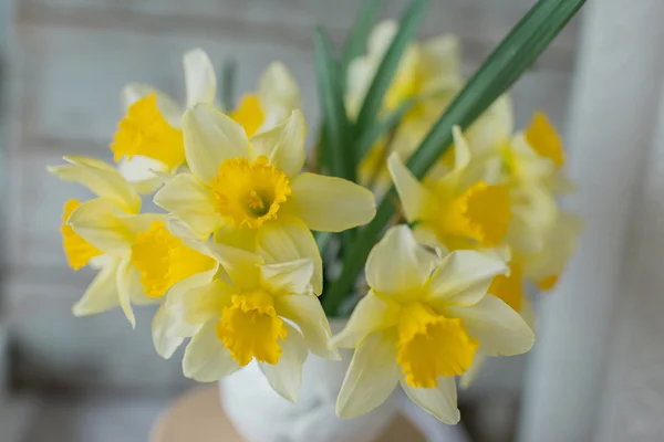 Un ramo de narciso amarillo — Foto de Stock