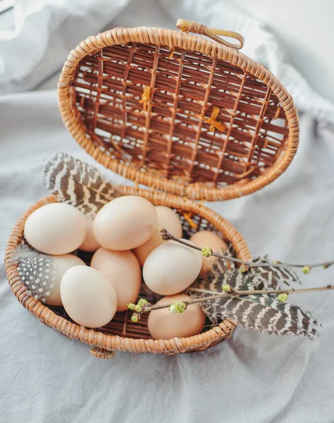 Ostereier im Korb — Stockfoto