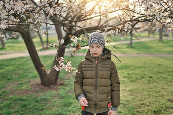 Pojke i blommande trädgård — Stockfoto