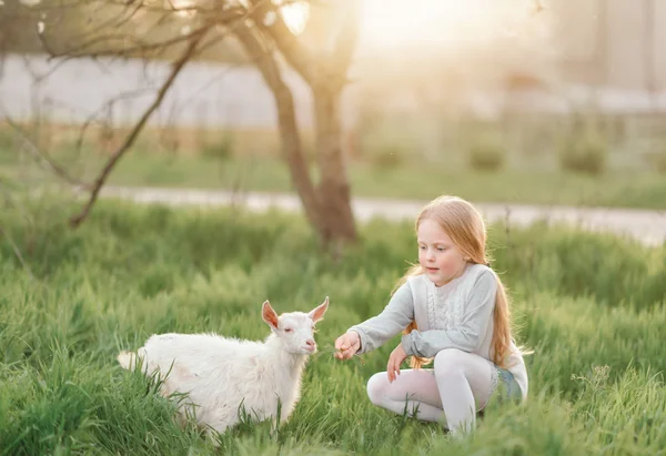 Kleines Mädchen mit Ziege — Stockfoto