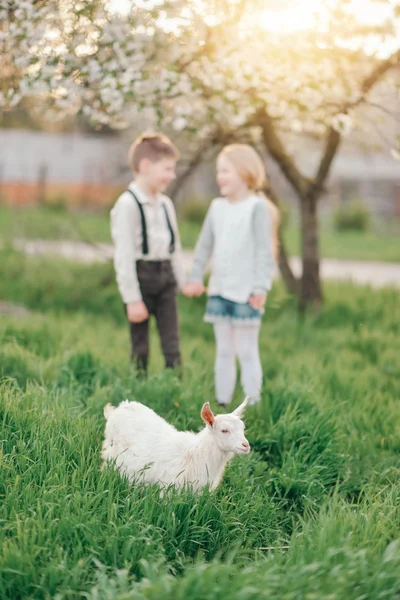 Pojke och flicka med ungen — Stockfoto