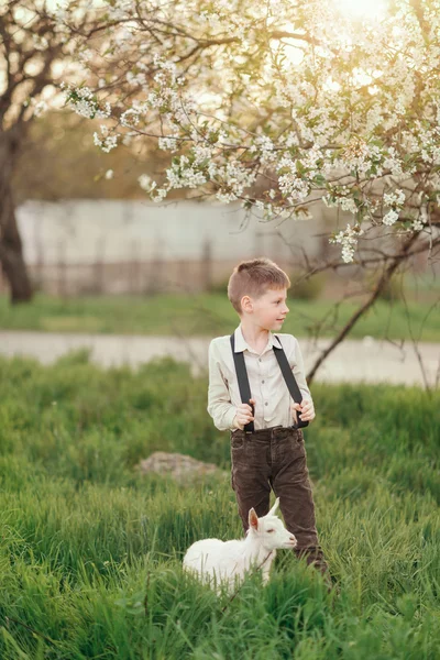 I en lummig trädgård och en get pojke — Stockfoto