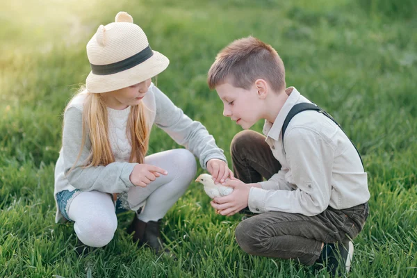 Meisje met een jongen en kip — Stockfoto