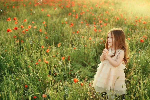 Meisje op het veld met papavers — Stockfoto