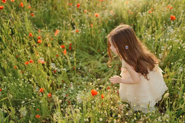 Girl on the field with poppies — Stock Photo, Image