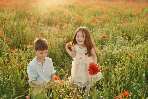 Kleine kinderen op het veld met papavers — Stockfoto