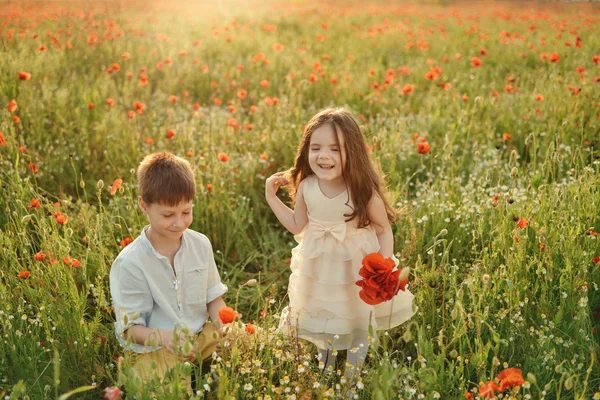 Niños pequeños en el campo con amapolas — Foto de Stock