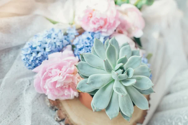 Pink peony and hyacinth — Stock Photo, Image