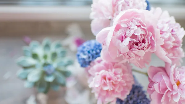 Peonía rosa y jacinto —  Fotos de Stock