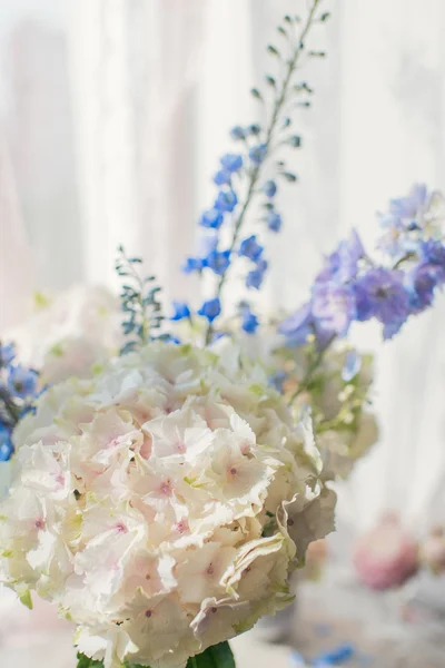 Delicate pink hydrangea — Stock Photo, Image