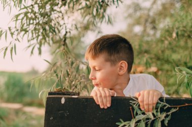 bir kurbağa ile oynayan çocuk