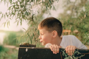 bir kurbağa ile oynayan çocuk