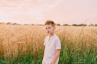buğday alan küçük çocuk