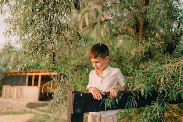 Chlapec hrát s žába — Stock fotografie