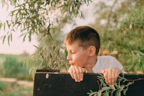 Chlapec hrát s žába — Stock fotografie